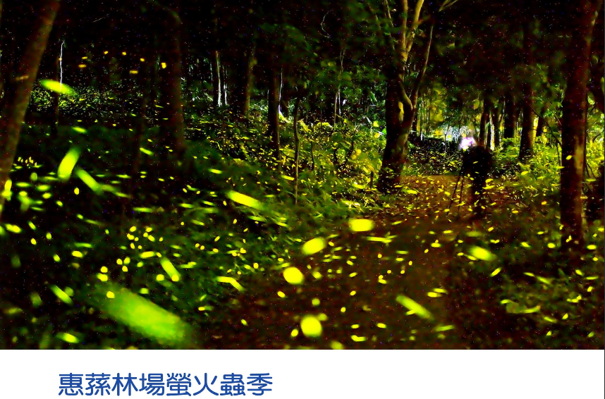 精品欧美一区二区三区久久久