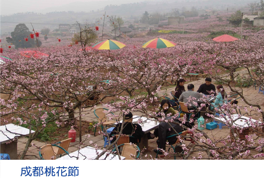 精品欧美一区二区三区久久久