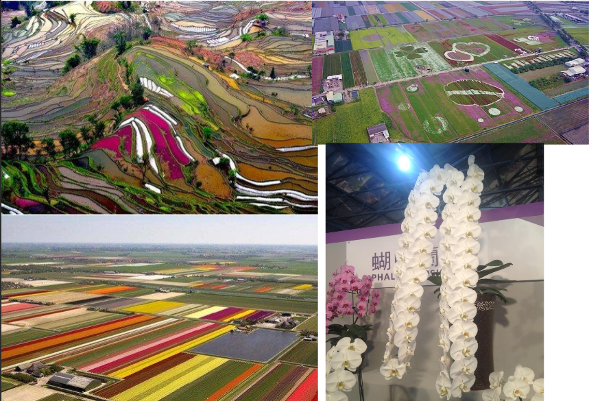 精品欧美一区二区三区久久久