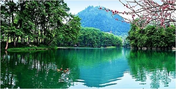 精品欧美一区二区三区久久久