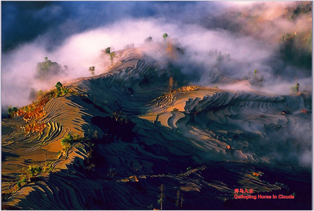 精品欧美一区二区三区久久久