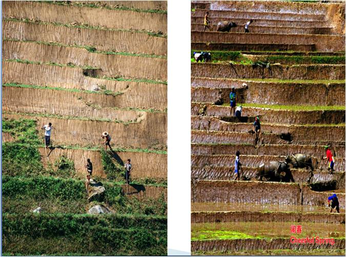 精品欧美一区二区三区久久久