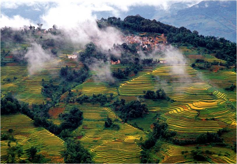 精品欧美一区二区三区久久久