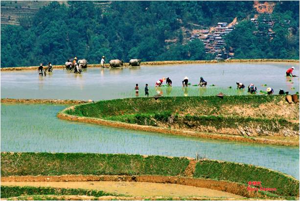 精品欧美一区二区三区久久久