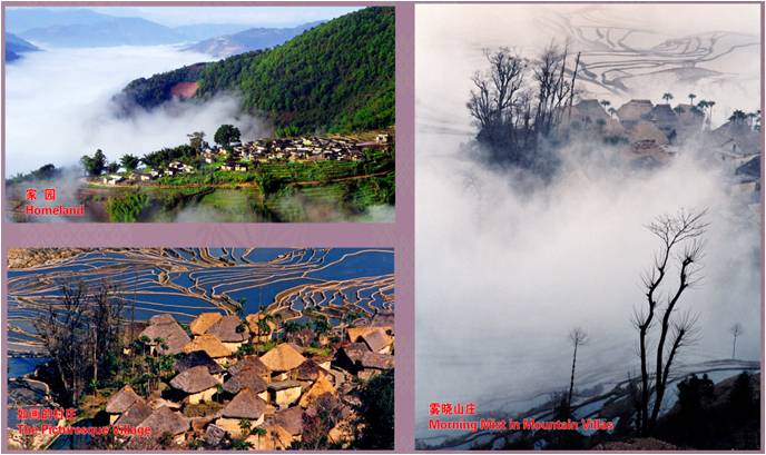 精品欧美一区二区三区久久久