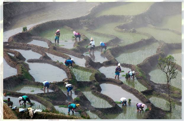 精品欧美一区二区三区久久久