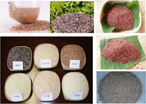 精品欧美一区二区三区久久久