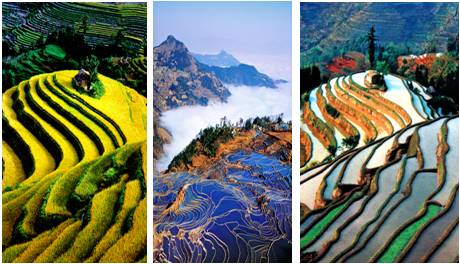 精品欧美一区二区三区久久久