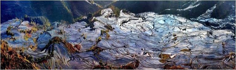 精品欧美一区二区三区久久久