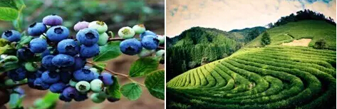 精品欧美一区二区三区久久久