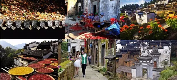 精品欧美一区二区三区久久久