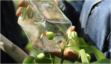 精品欧美一区二区三区久久久