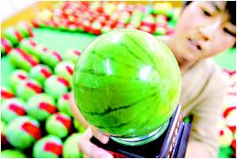 精品欧美一区二区三区久久久