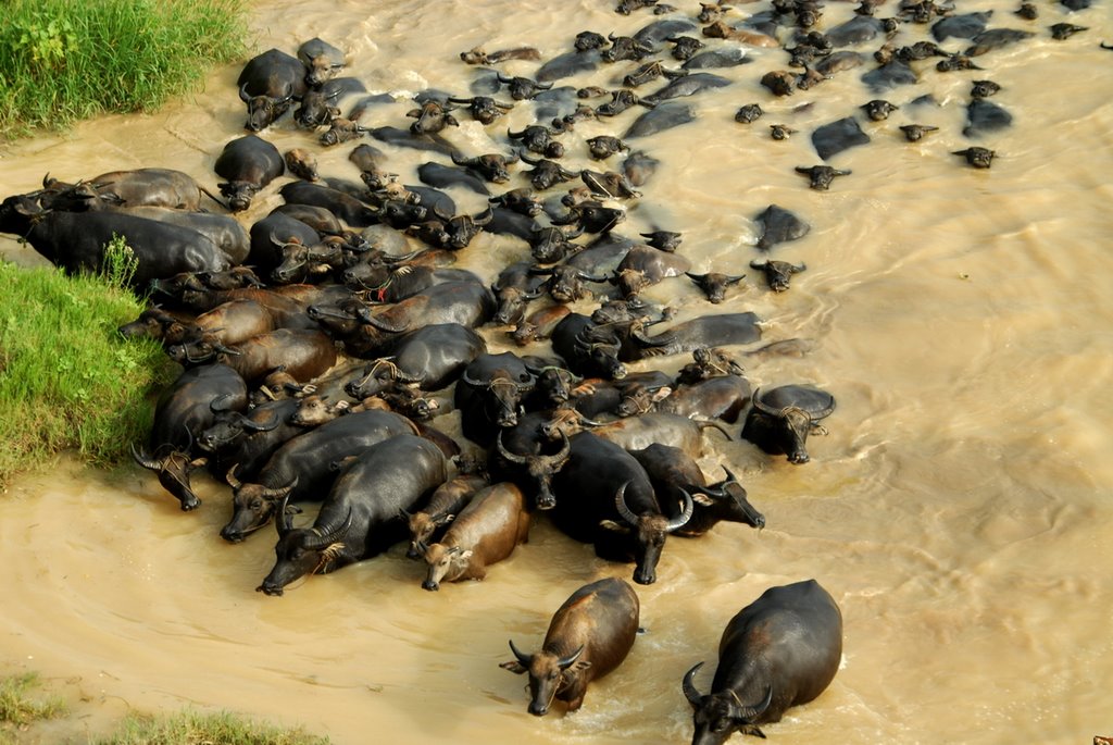 精品欧美一区二区三区久久久