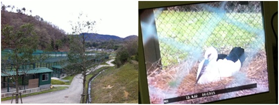 精品欧美一区二区三区久久久