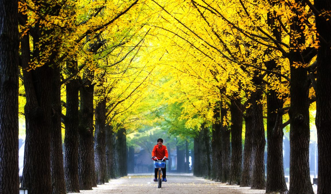 精品欧美一区二区三区久久久