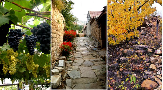 精品欧美一区二区三区久久久