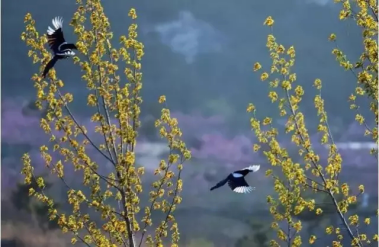 精品欧美一区二区三区久久久