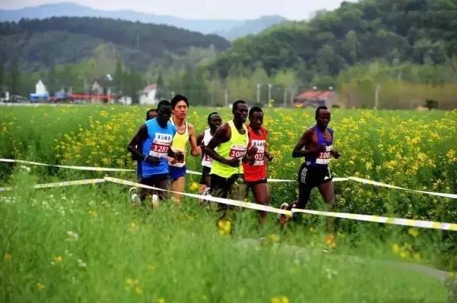 精品欧美一区二区三区久久久