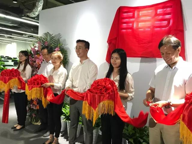 精品欧美一区二区三区久久久