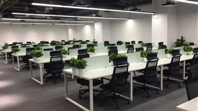 精品欧美一区二区三区久久久